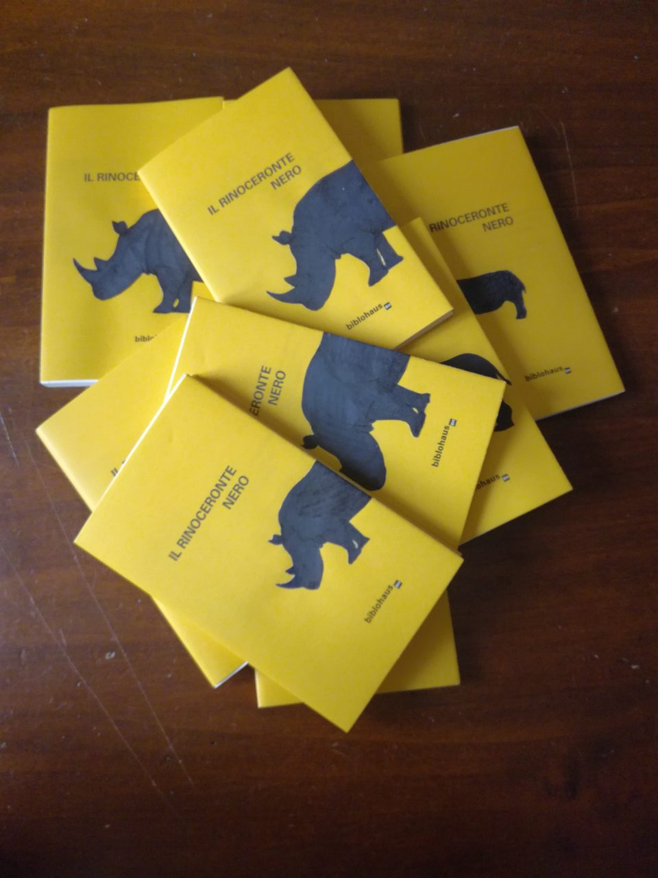 La carica dei 10 rinoceronti